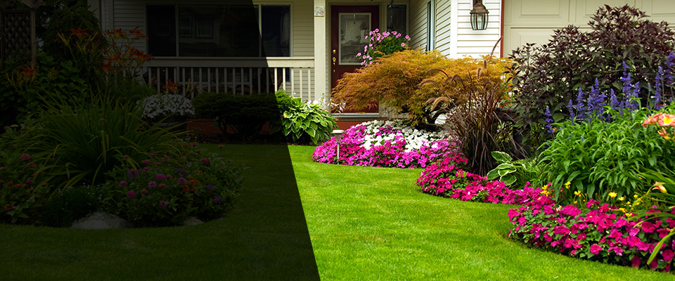 Anza Landscapers