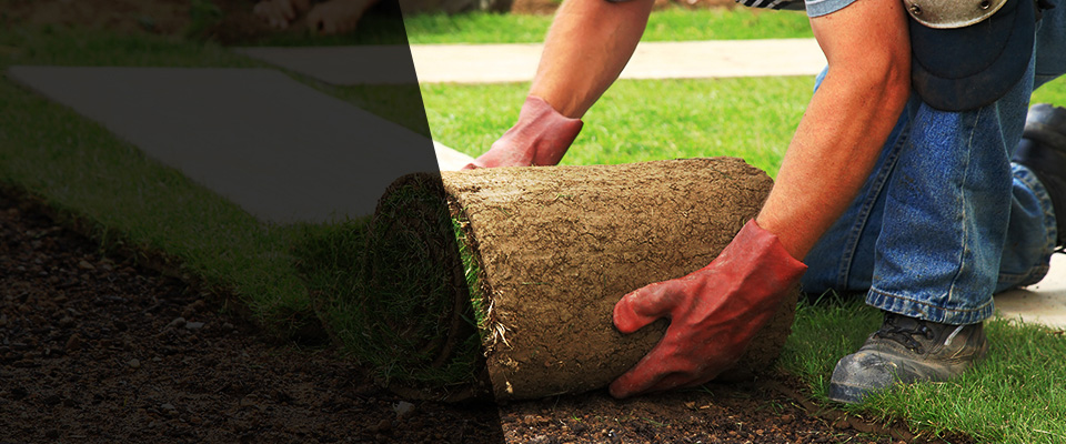 Anza Landscapers